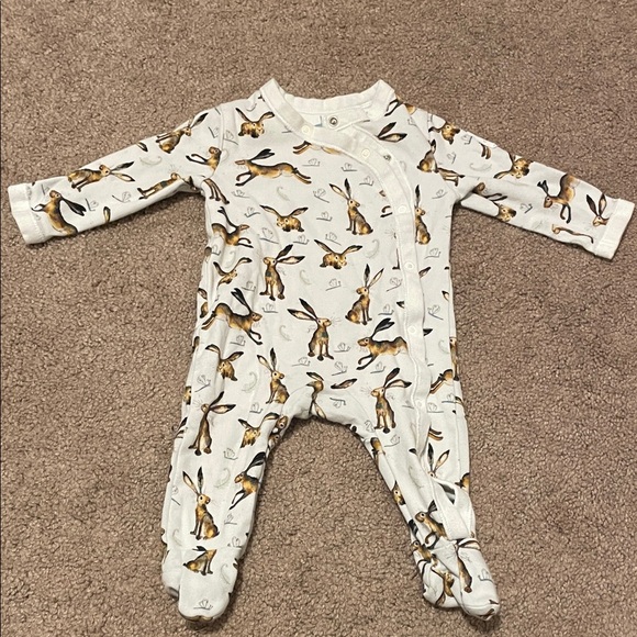 Catherine Rayner - Picture 1 of 5